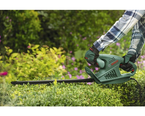 Person schneidet Hecke mit einer Heckenschere von Bosch