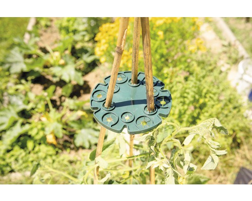 Support de bâton en bambou utilisé dans le jardin pour soutenir les plantes