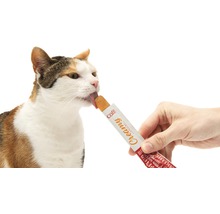En-cas pour chats cat it Creamy poulet, paquet de 4 40 g