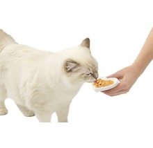 En-cas pour chats cat it Creamy poulet, paquet de 4 40 g