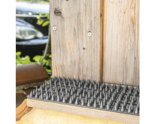 Taubenabwehrspikes auf einer Holzoberfläche zur Vogelabwehr