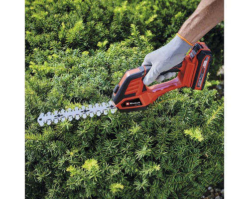 Eine Person schneidet mit einer Einhell Akku-Heckenschere eine Hecke.