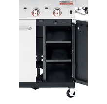 Detailansicht eines Gasgrills mit geöffneten Schranktüren und Regalen