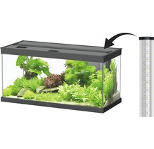 Aquariumbeleuchtung aquatlatis LED Style 2.0 für Style Aquarium 80, 14 Watt, ca. 75,8 cm, schwarz , Ersatzleuchtbalken ohne Netzteil