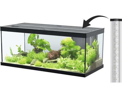 Aquarium avec plantes et poissons, éclairage LED inclus