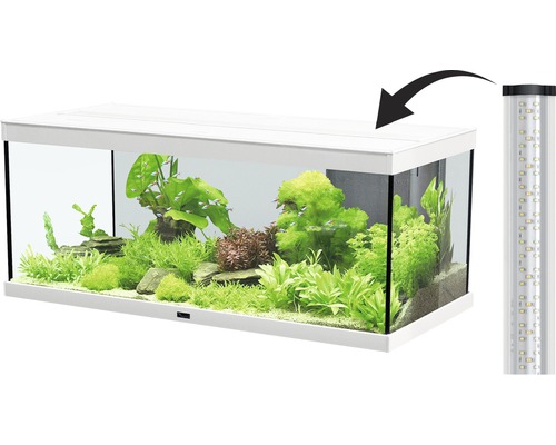 Aquarium avec plantes et poissons et éclairage