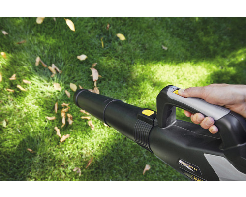 Eine Person benutzt einen Akku-Laubbläser im Garten.