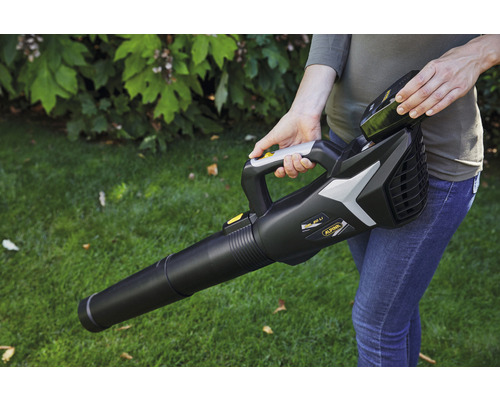 Eine Person hält einen Akku-Laubbläser der Marke Alpina in einem Garten.
