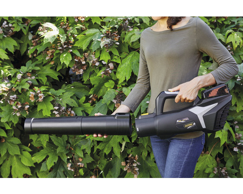 Frau montiert ein Akku-Blasgerät vor grünem Busch