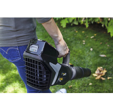 Eine Person hält einen Akku-Laubbläser in der Hand.