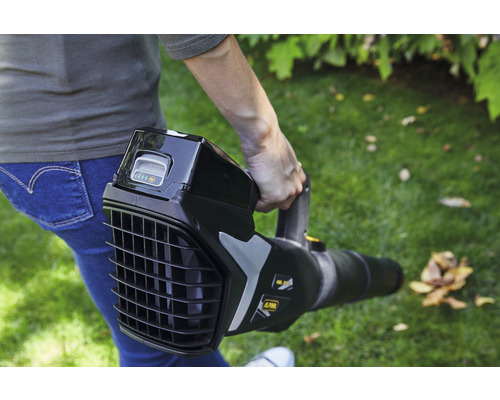 Eine Person hält einen Akku-Laubbläser in der Hand.