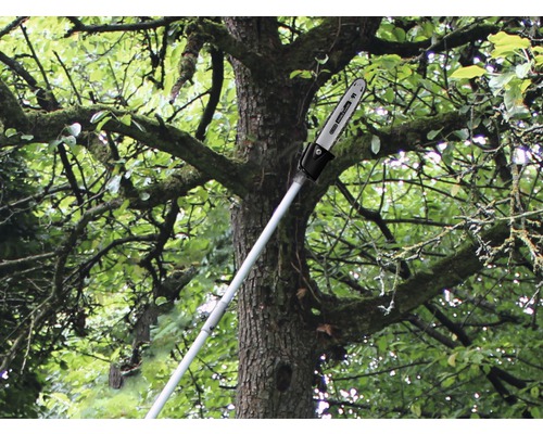 Eine Hochentaster-Säge schneidet einen Baumast.
