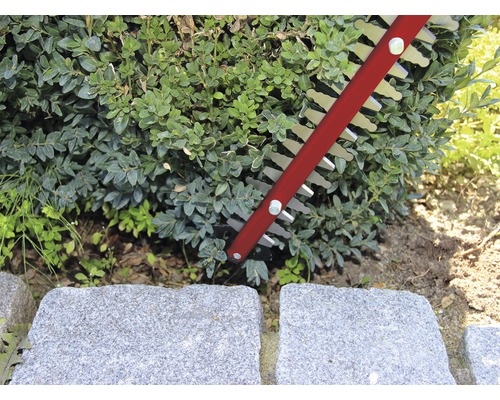 Taille-haie en utilisation sur une haie à côté de plaques de pierre