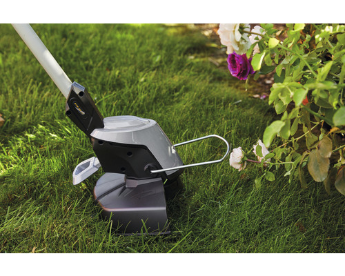 Rasentrimmer im Einsatz auf Rasenfläche neben Rosenstrauch