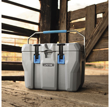 Glacière grise avec poignée de transport de Lifetime d''une capacité de 26 litres