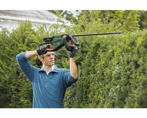 Mann schneidet Hecke mit einer Akku-Heckenschere.
