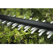Taille-haies sans fil UniversalHedgeCut 18-55 BOSCH sans batterie et chargeur