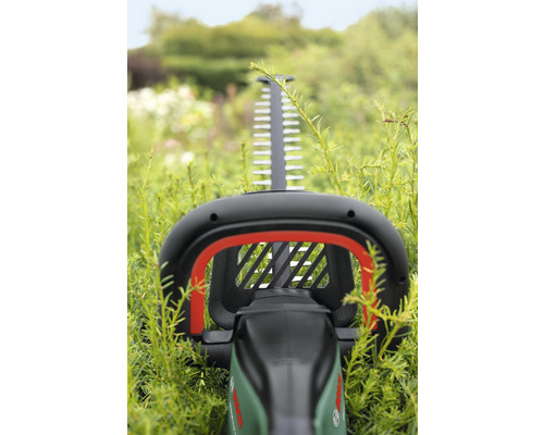 Heckenschere im Gras