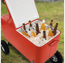 Roter Kühlwagen mit Eis und Getränkeflaschen