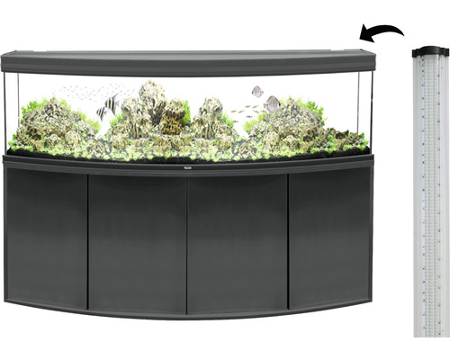 Aquarium incurvé avec meuble bas et éclairage LED