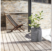 Plante dans un pot gris sur une terrasse avec platelage en bois et une chaise longue