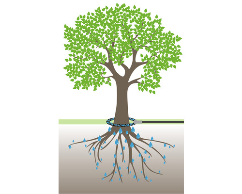 Illustration d''un arbre avec un tuyau d''irrigation autour du tronc