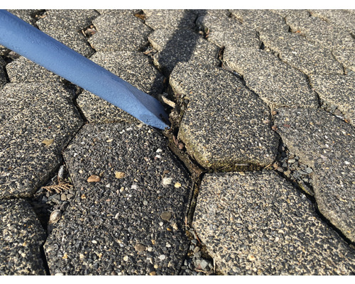 Spatule bleue entre les pavés.