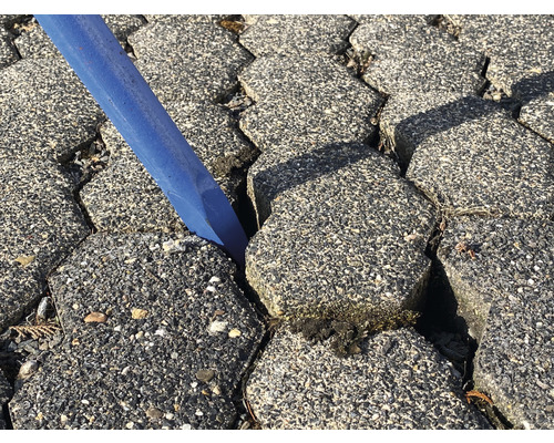 Brosse à joints bleue nettoie les pavés