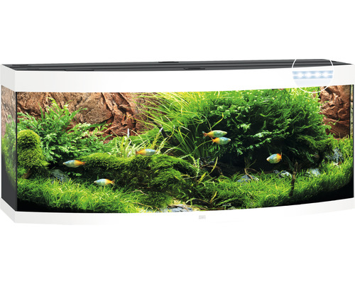 Aquarium VISION 180 LED CHÊNE CLAIR JUWEL. Tout équipé vitre bombée