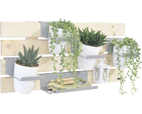 Étagère murale avec plantes, outils de jardinage et décoration