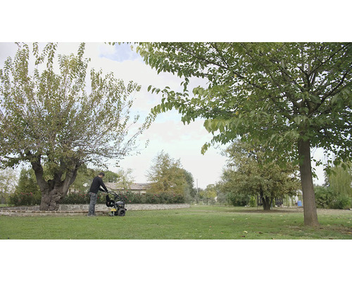 Ein Mann benutzt eine Motorhacke in einem Garten mit Bäumen.