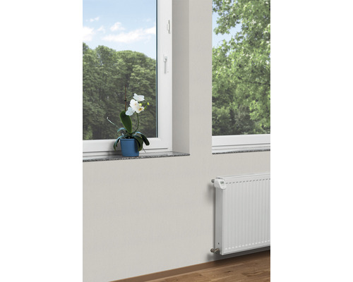 Raumansicht mit Heizkörper, Fenster und Orchidee