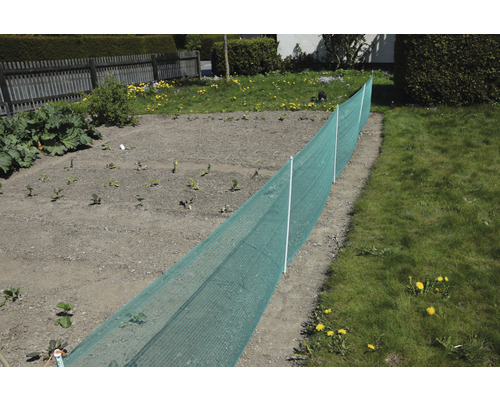 Potager avec filet de protection contre les nuisibles