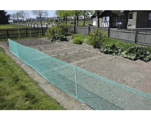 Potager avec filet de protection et piquets de support