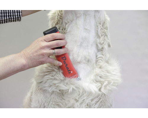 Durati Enthaarungsbürste im Einsatz auf einem Schaffell