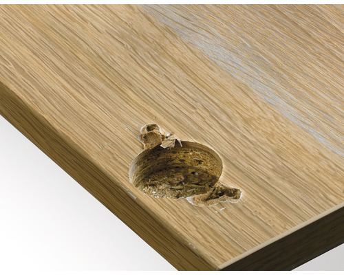 Detailansicht einer beschädigten Holzplatte mit Loch