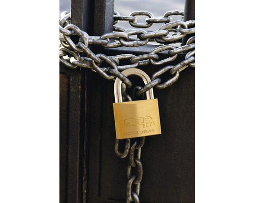 Cadenas avec chaîne sur un portail