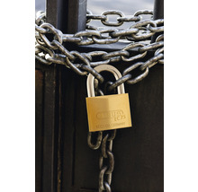 Cadenas Abus 75/30 laiton Lock-Tag 30 mm