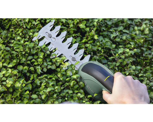 Akkubetriebene Heckenschere im Einsatz an einer Hecke. Bosch Logo.