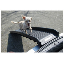 Chien utilisant une rampe pour monter dans une voiture