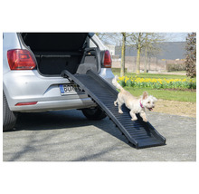 Chien utilisant une rampe pour sortir du coffre d''une voiture.
