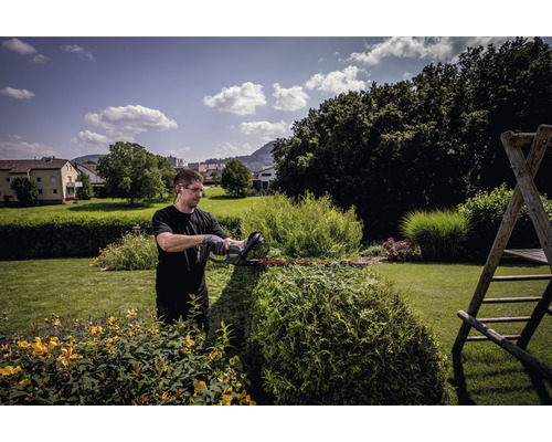 Un homme taille une haie avec un taille-haie dans le jardin.
