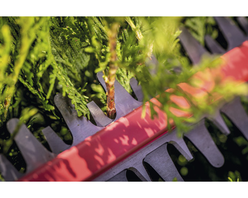 Gros plan d''un taille-haie coupant une haie