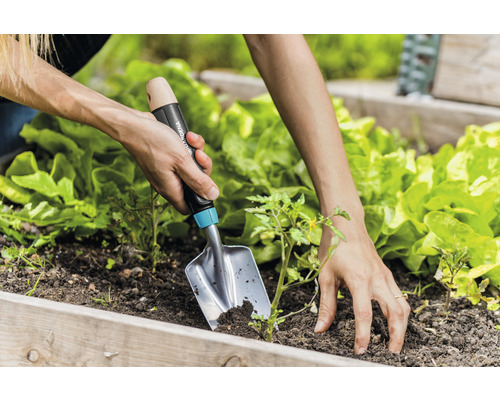 Une personne plante un plant avec une pelle de jardin dans une plate-bande surélevée.