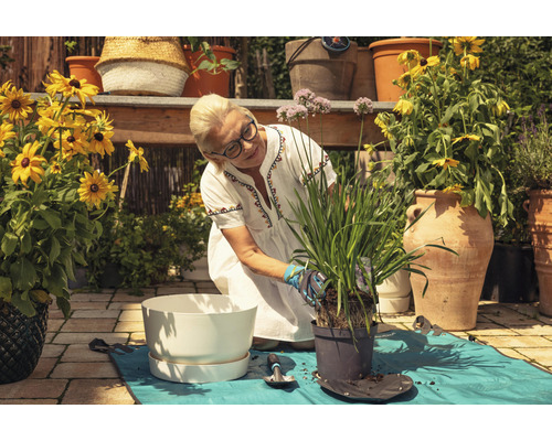 Une femme plante une plante dans un pot dans le jardin, entourée d''outils de jardinage et de fleurs.