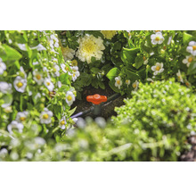 Kit d'arrosage GARDENA Micro-Drip kit de démarrage massif automatic (pour jusqu'à 35 plantes à massifs)