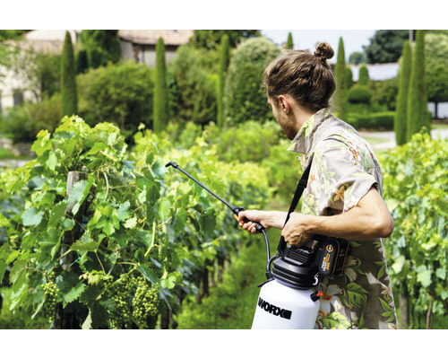 Ein Mann benutzt einen Akku-Drucksprüher von Worx in einem Weinberg.