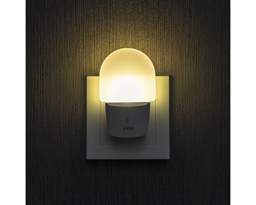 Veilleuse pour la prise