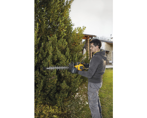 Mann schneidet Hecke mit einer Heckenschere im Garten.