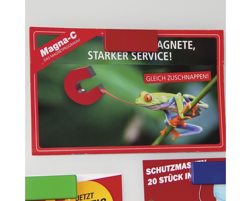 Aimants Magna-C avec motif de grenouille